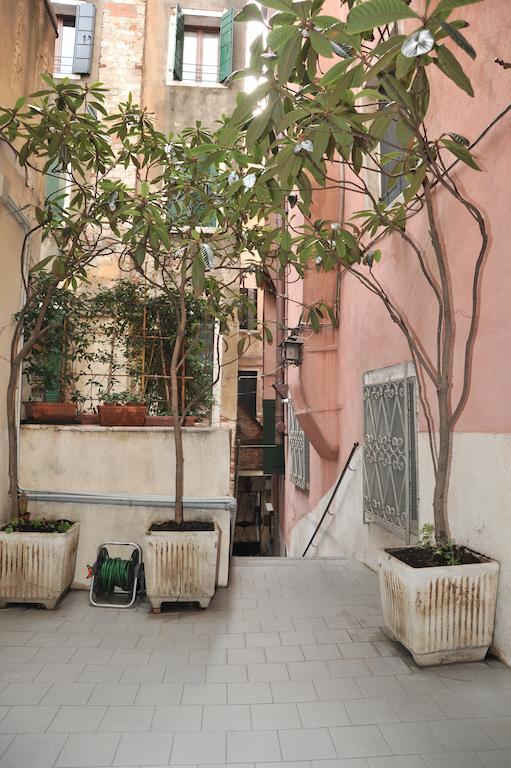 البندقية 3C B&B المظهر الخارجي الصورة